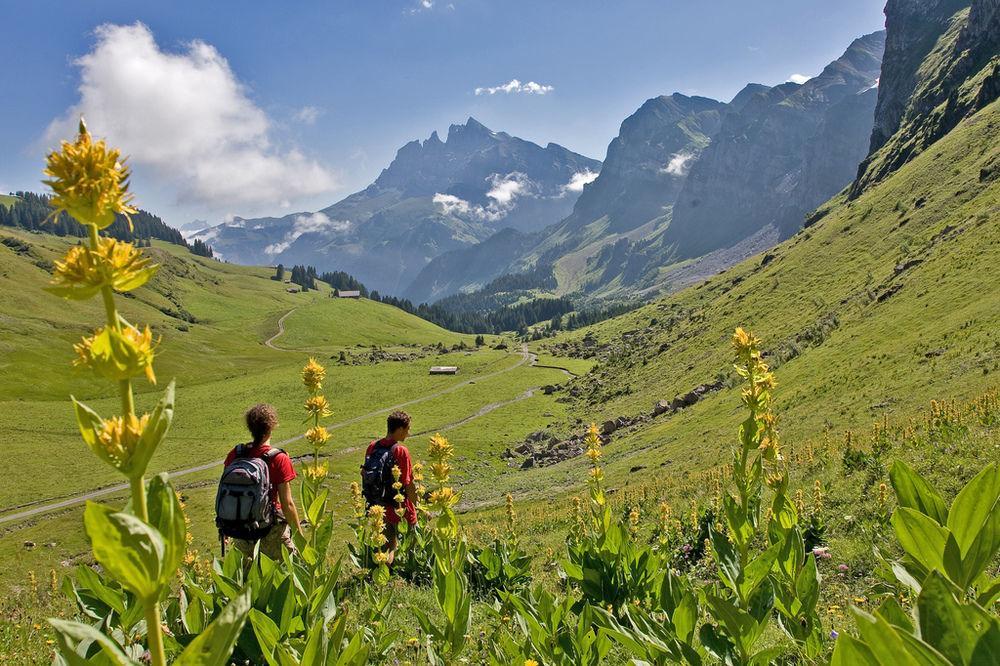 Hotel National Resort & Spa Champéry Zewnętrze zdjęcie